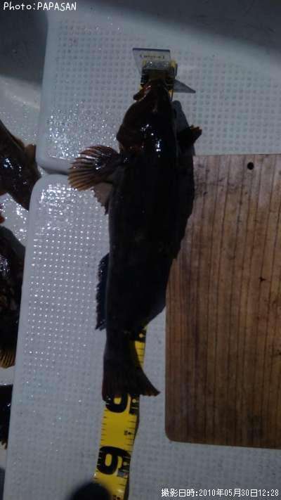 �����ʥ�