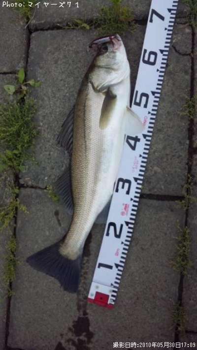 �����Х�