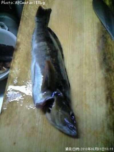 �����ʥ�