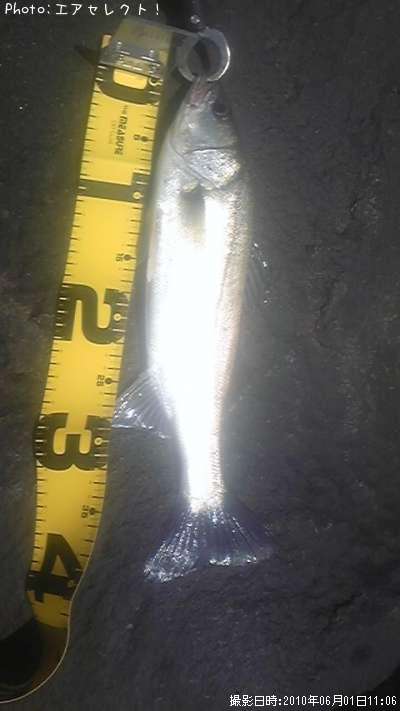 �����Х�