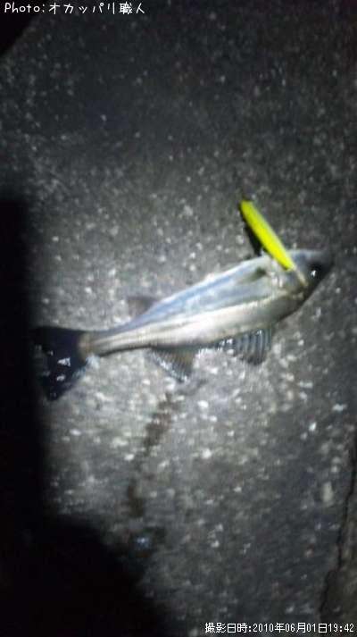 �����Х�