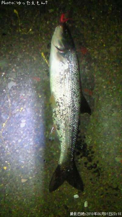 �ޥ륿������