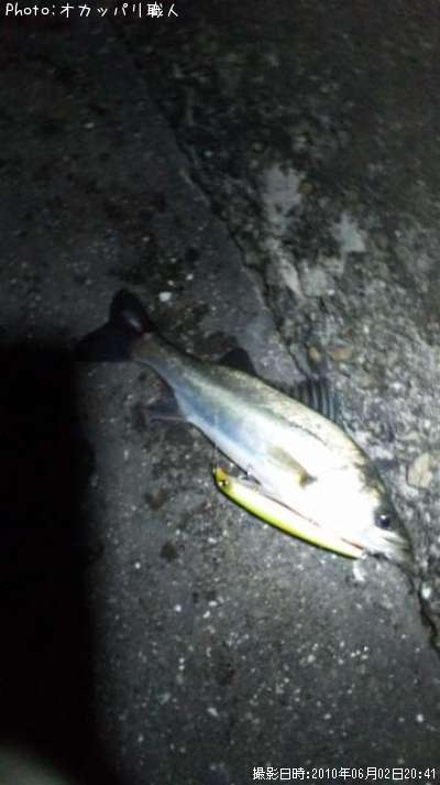 �����Х�