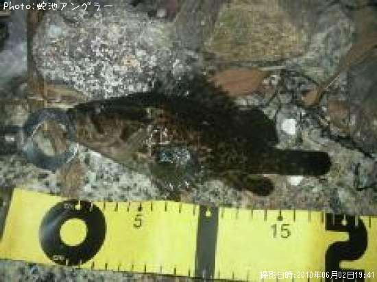 �����Υ���Х�