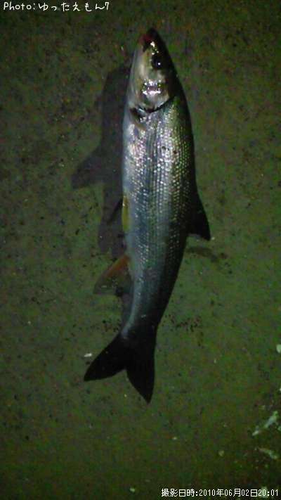 �ޥ륿������