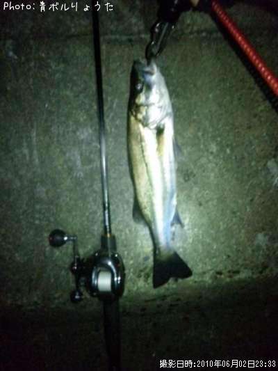 �����Х�