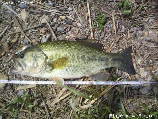 �֥�å��Х�