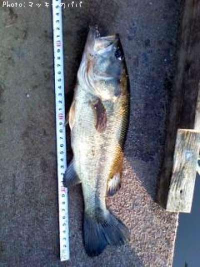 �֥�å��Х�