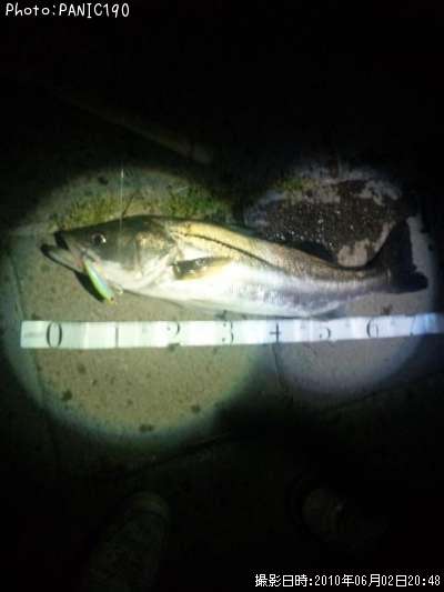 �����Х�