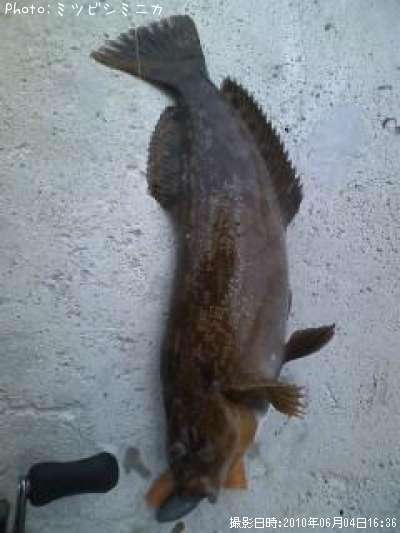 �����ʥ�