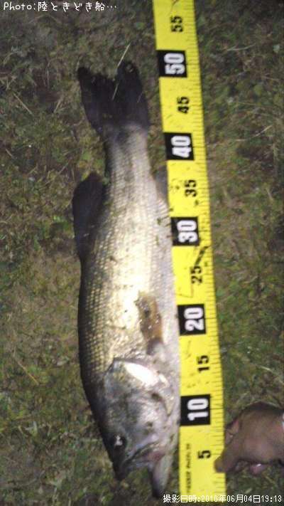 �֥�å��Х�