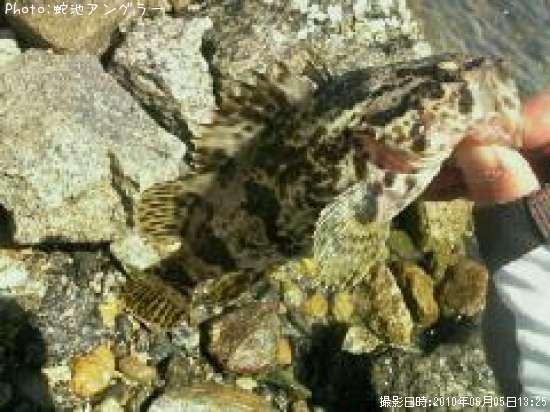 �����Υ���Х�