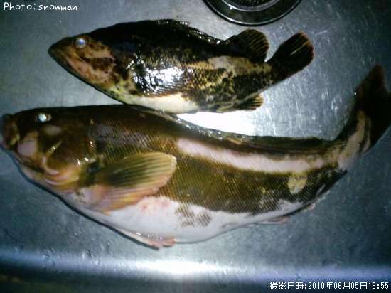 �����ʥ�ȥ٥å���