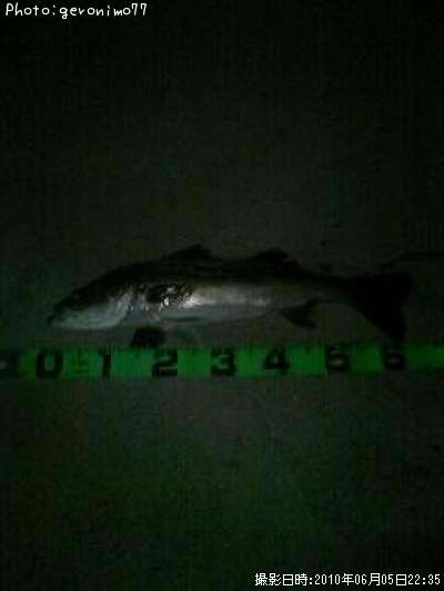 �����Х�