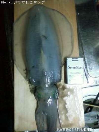 �����ꥤ��