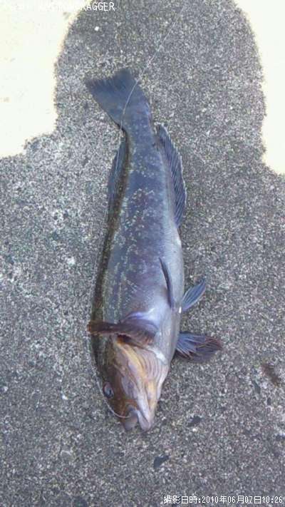 �����ʥ�