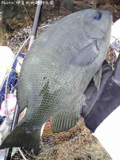 �����᥸��