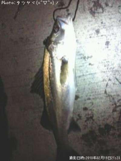 �����Х�