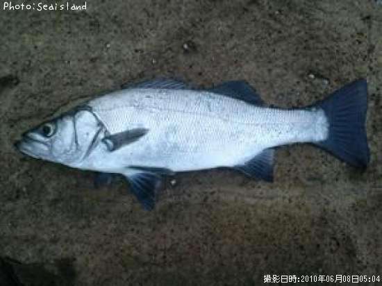 �ҥ饹����