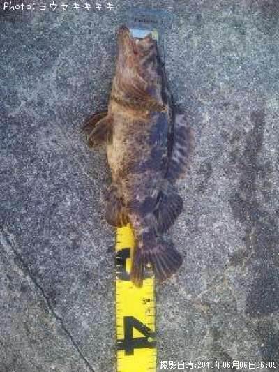 �����Υ���Х�