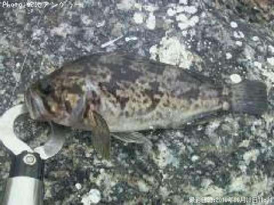 �����Υ���Х�