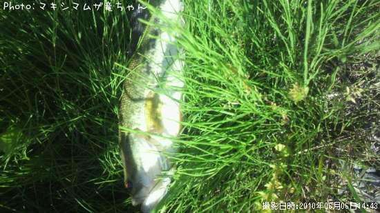 �֥�å��Х�