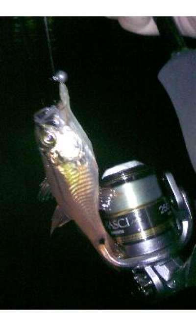 �ͥ�֥ĥ���