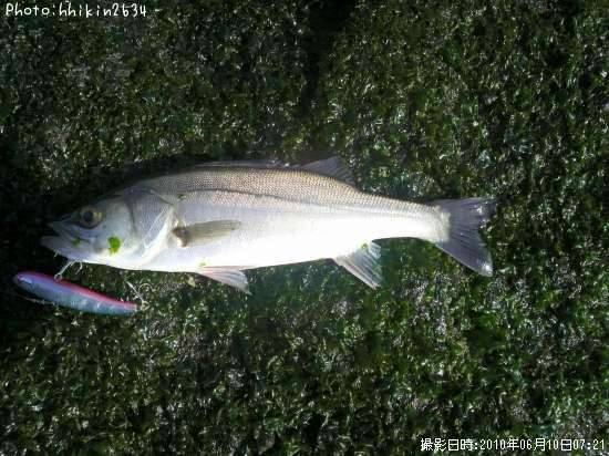 �����Х�