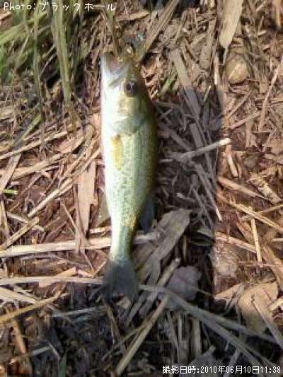 �֥�å��Х�