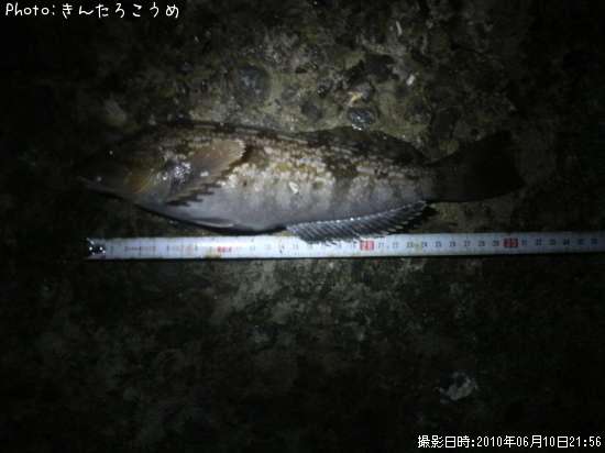 �����ʥ�