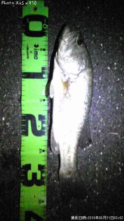 �֥�å��Х�