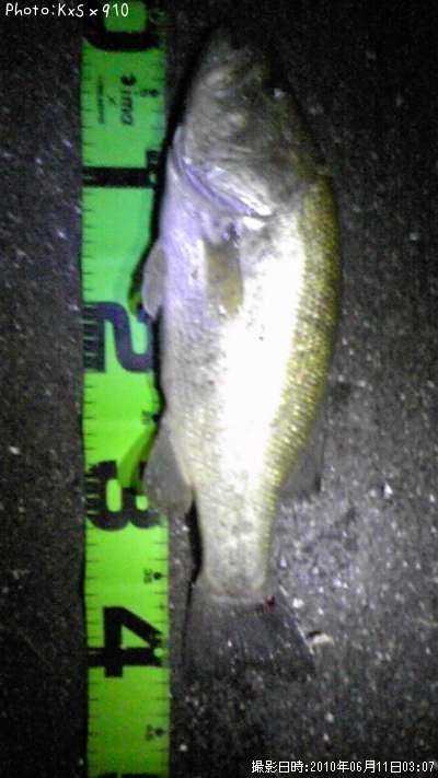 �֥�å��Х�