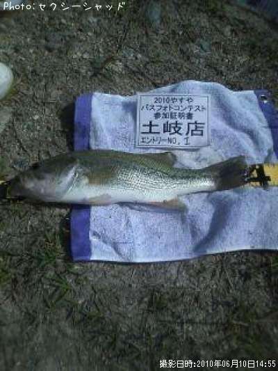 �֥�å��Х�