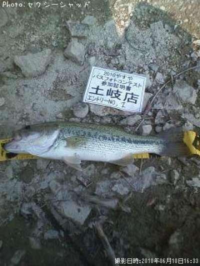 �֥�å��Х�