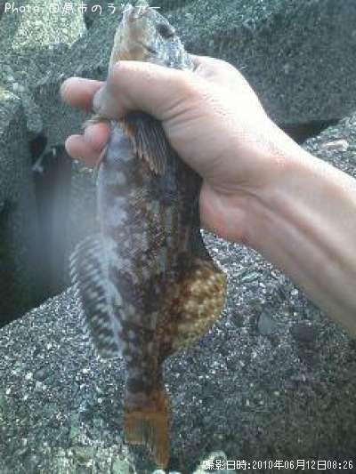 �����ʥ�