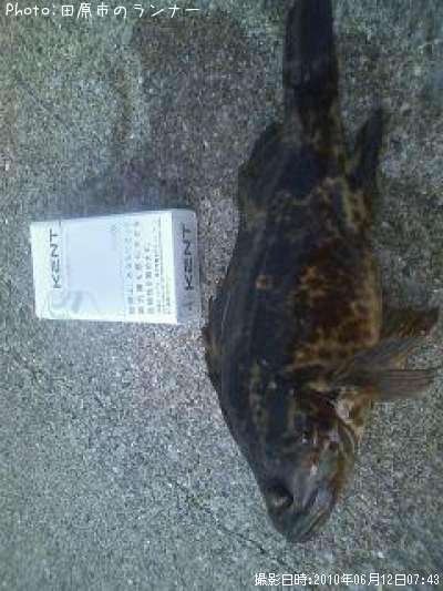 �����Υ���Х�