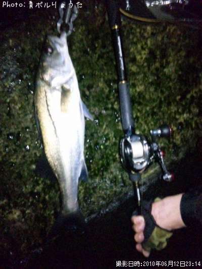 �����Х�