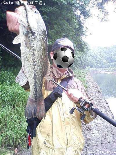 �֥�å��Х�