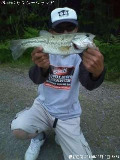 �֥�å��Х�