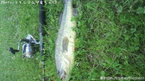 �֥�å��Х�