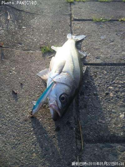 �����Х�