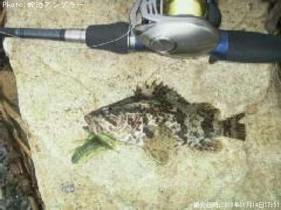 �����Υ���Х�