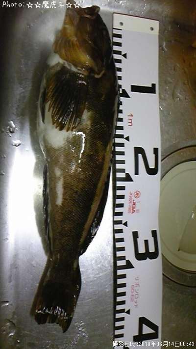 �����ʥ�