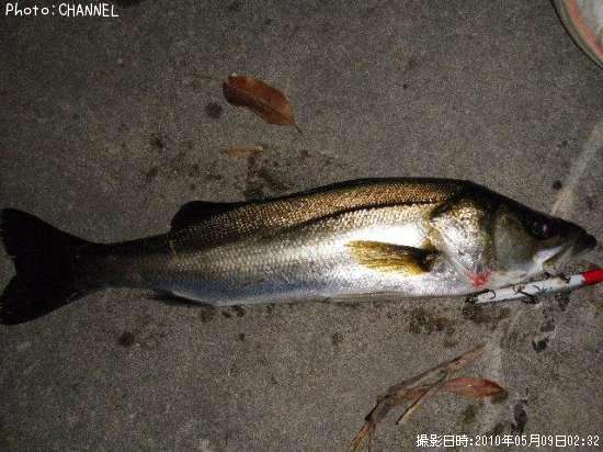 �����Х�