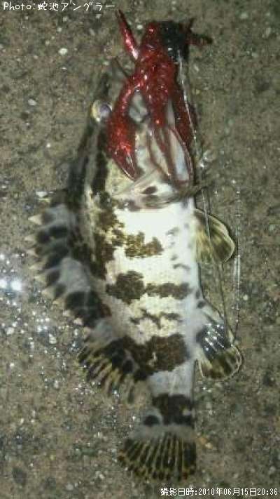 �����Υ���Х�