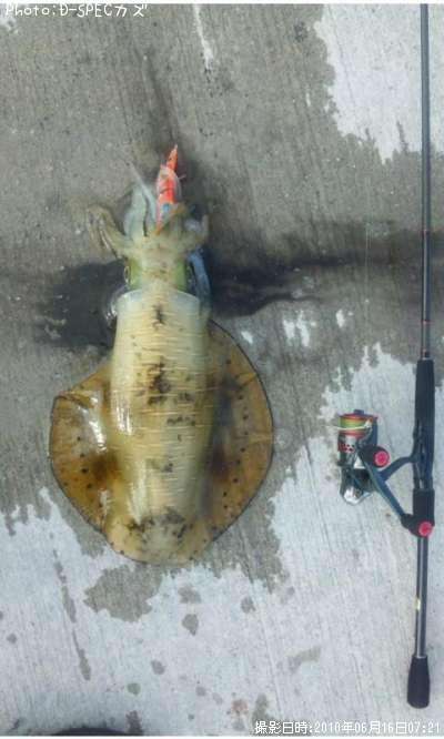 �����ꥤ��