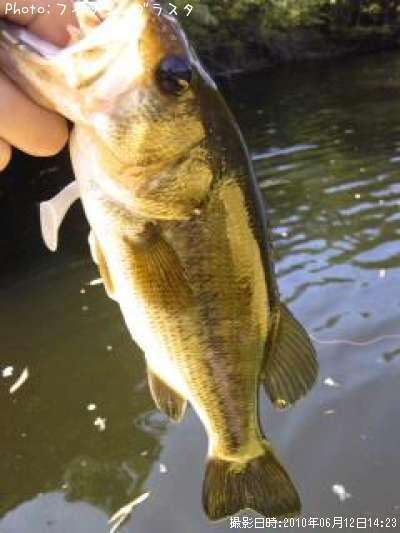 �֥�å��Х�