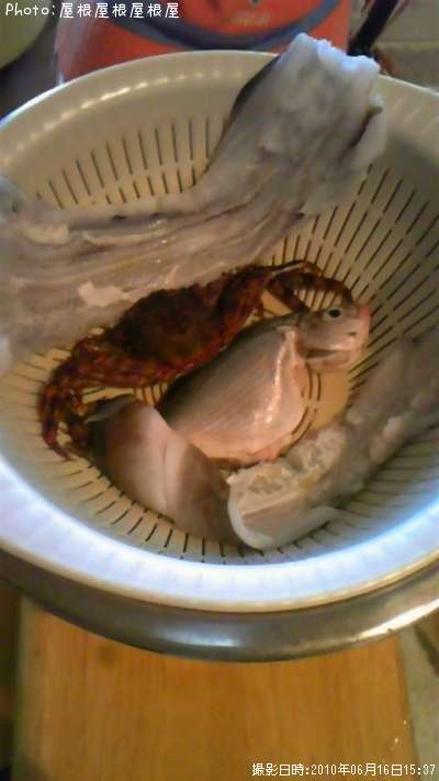 �ޤ����ʥ�