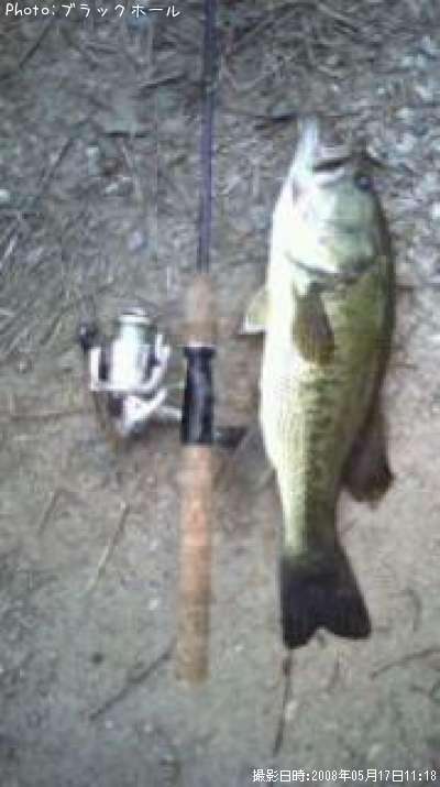 �֥�å��Х�