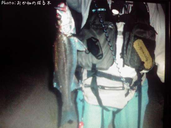 �����Х�